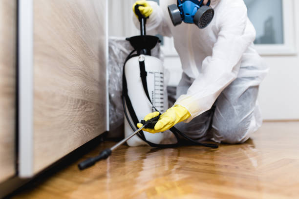 Best Best Pest Control Companies  in Seaville, NJ