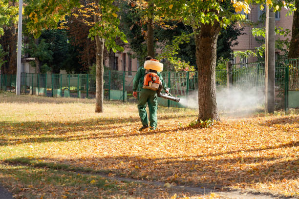 Best Pest Removal Services  in Seaville, NJ