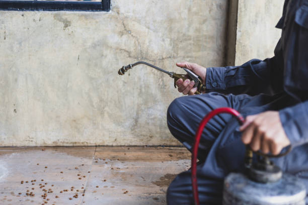 Best Mosquito Control Services  in Seaville, NJ